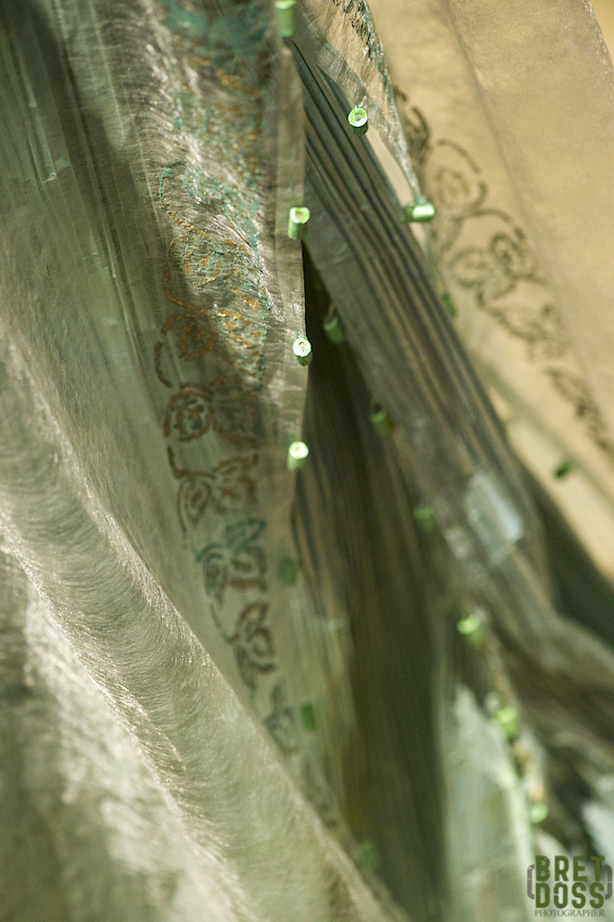 BAM wBDP watermark © Bret Doss 2014 6