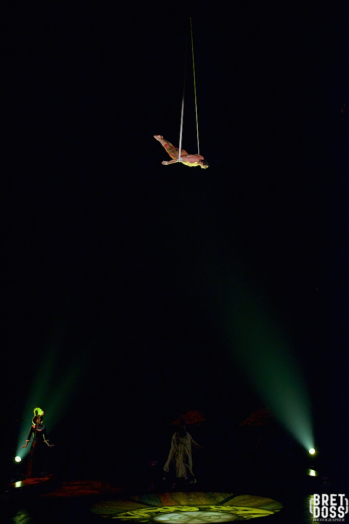 (image © Bret Doss)