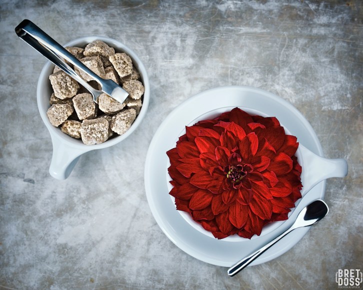 image © Bret Doss -- all rights reserved