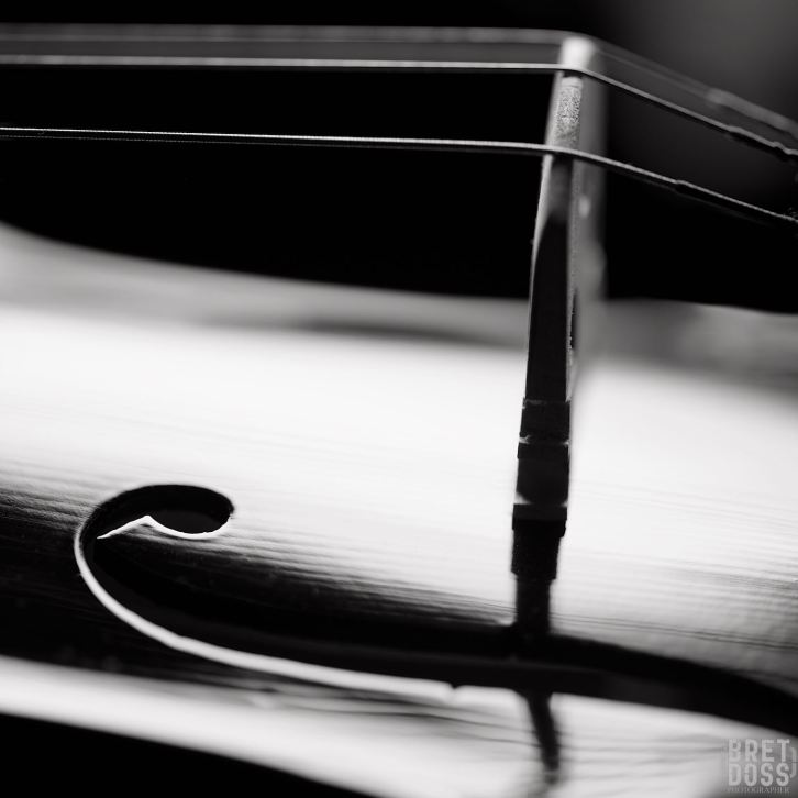 image © Bret Doss, All Rights Reserved