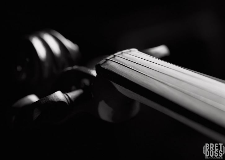 Violin bw © Bret Doss 2015 09