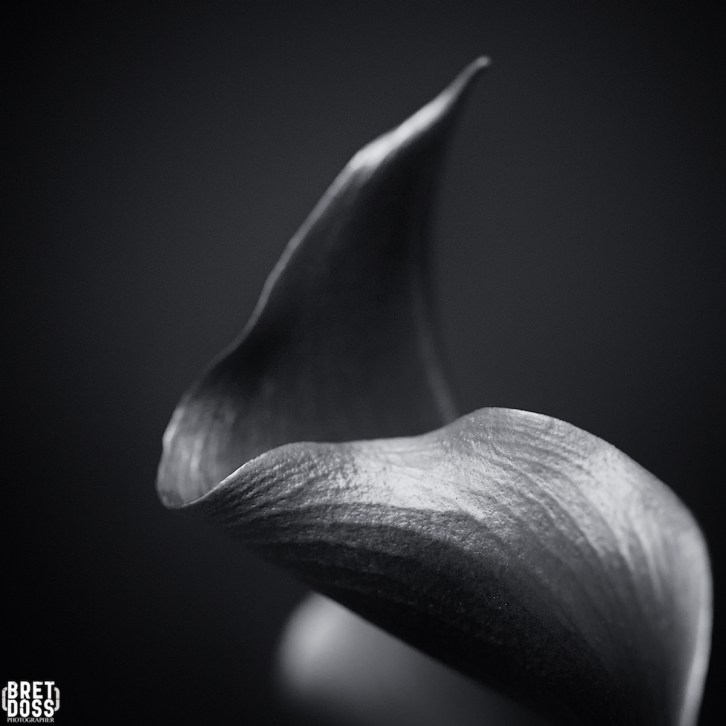 image © Bret Doss, All Rights Reserved