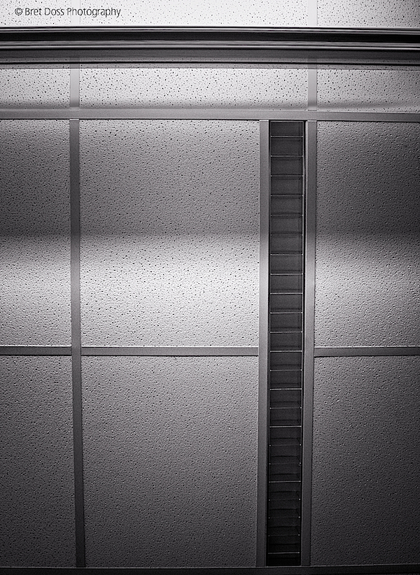 image © Bret Doss All Rights Reserved