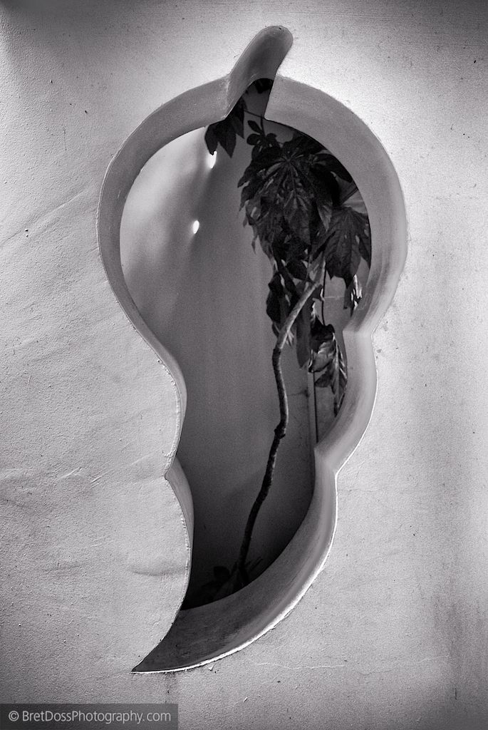 webct1k-portland-june-bret-doss-2013-16