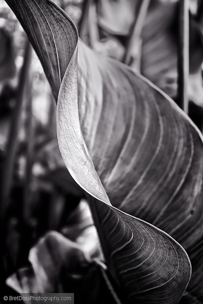 webct1k-portland-june-bret-doss-2013-21